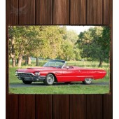 Металлическая табличка Ford Thunderbird Convertible